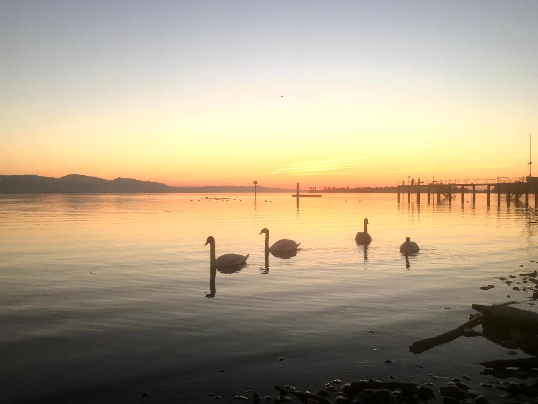 Ferienwohnung Riva - Wohlfuehloase In Ruhiger Lage Lindau  Exteriör bild