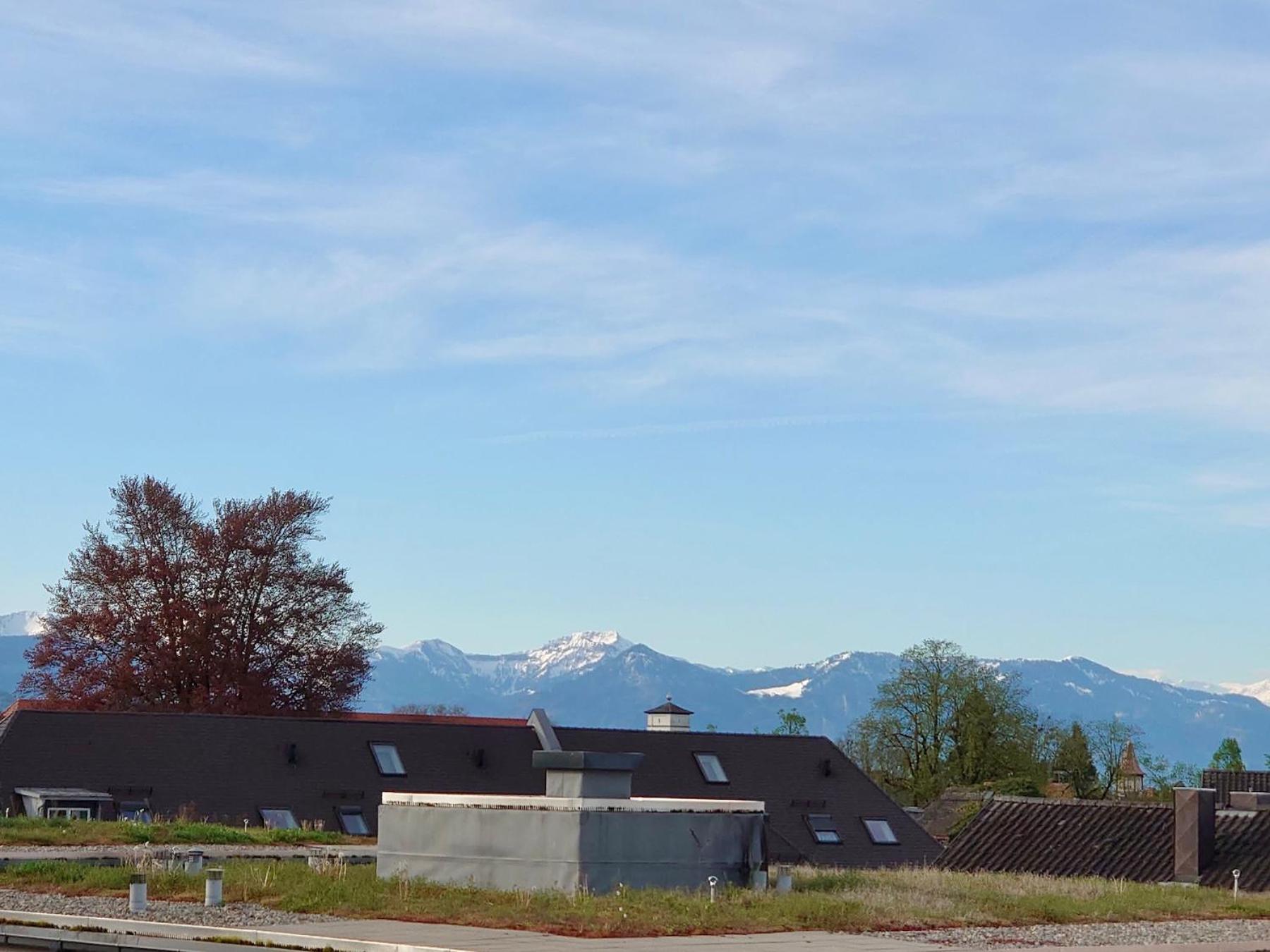 Ferienwohnung Riva - Wohlfuehloase In Ruhiger Lage Lindau  Exteriör bild